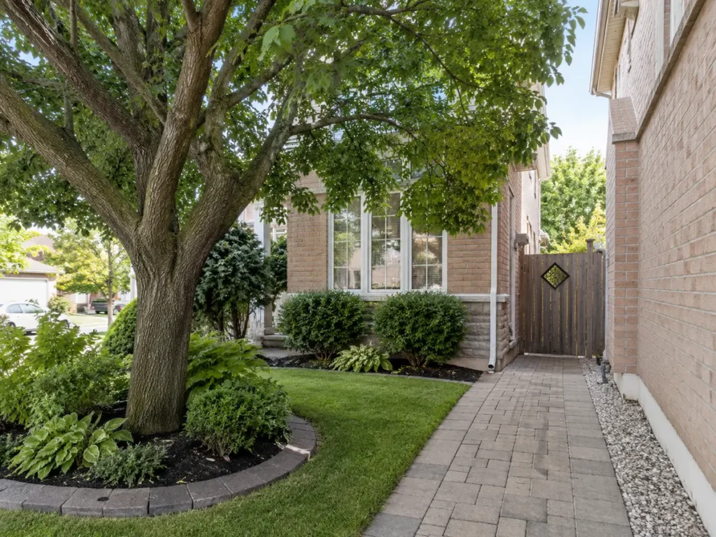 Mature tree and compact property access